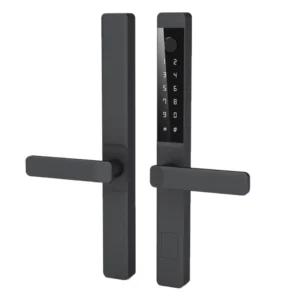 IP67 Waterproof TTlock Remote Smart Door Lock Sliding Smart Lock with Fingerprint 13.56Mhz IC Card Keypad Bluetooth Connect